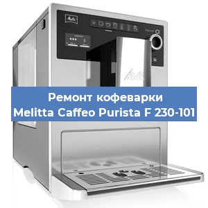 Ремонт капучинатора на кофемашине Melitta Caffeo Purista F 230-101 в Санкт-Петербурге